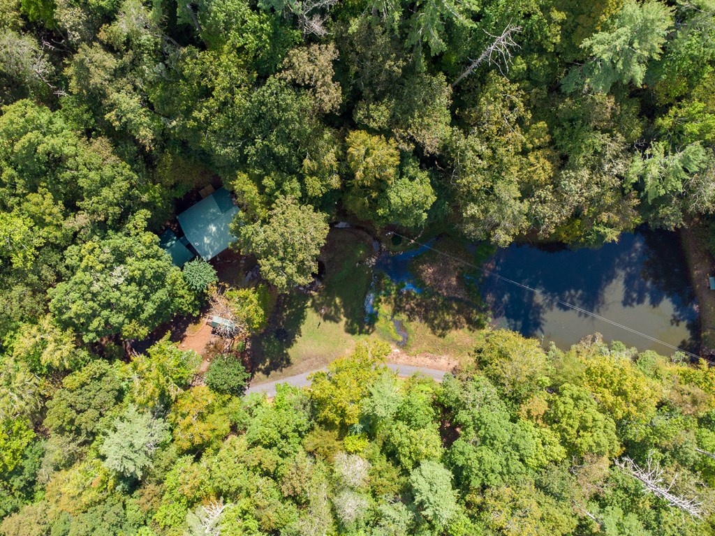 131 Ralph Hickey Road Chatsworth, GA 30705 - Photo 45 of 46