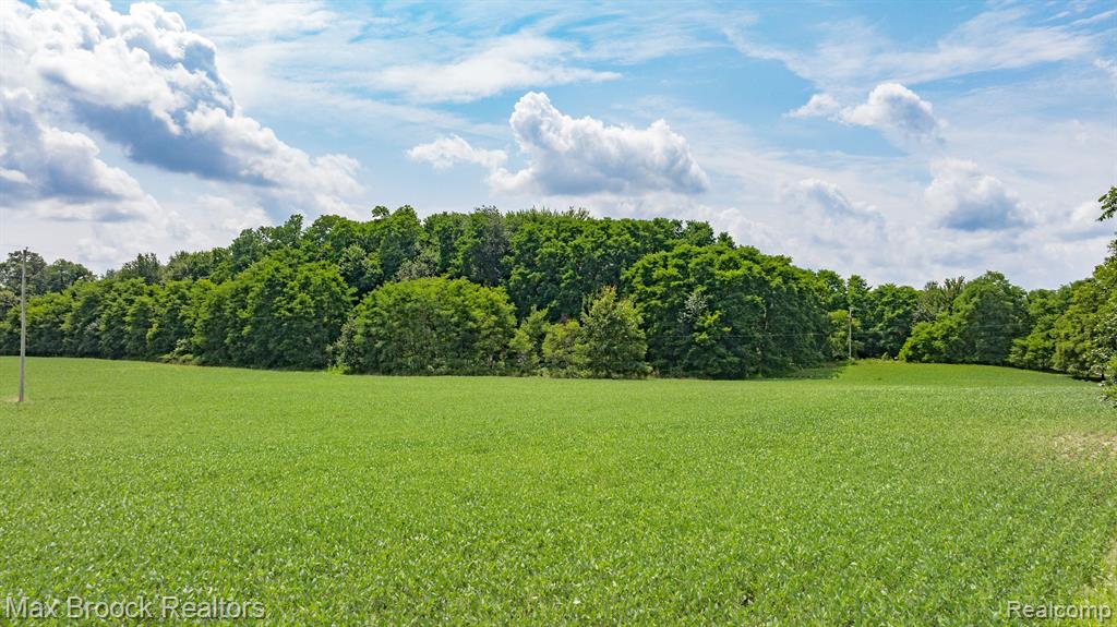 6694 North Fleming Road Howell, MI 48855 - Photo 37 of 45