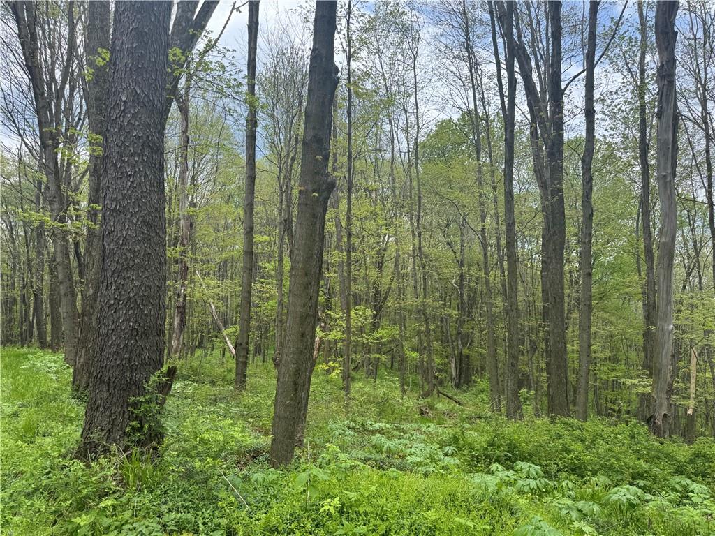 0 Grove Road Stoystown, PA 15563 - Photo 34 of 34