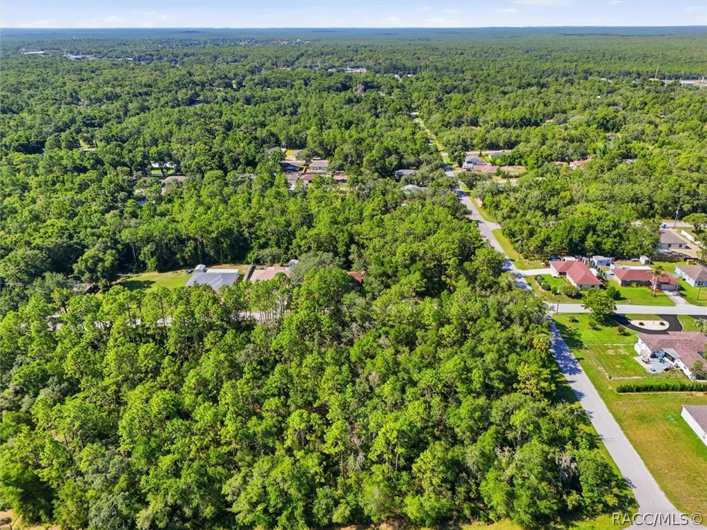 3220 East Rogers Inverness, FL 34453 - Photo 22 of 23