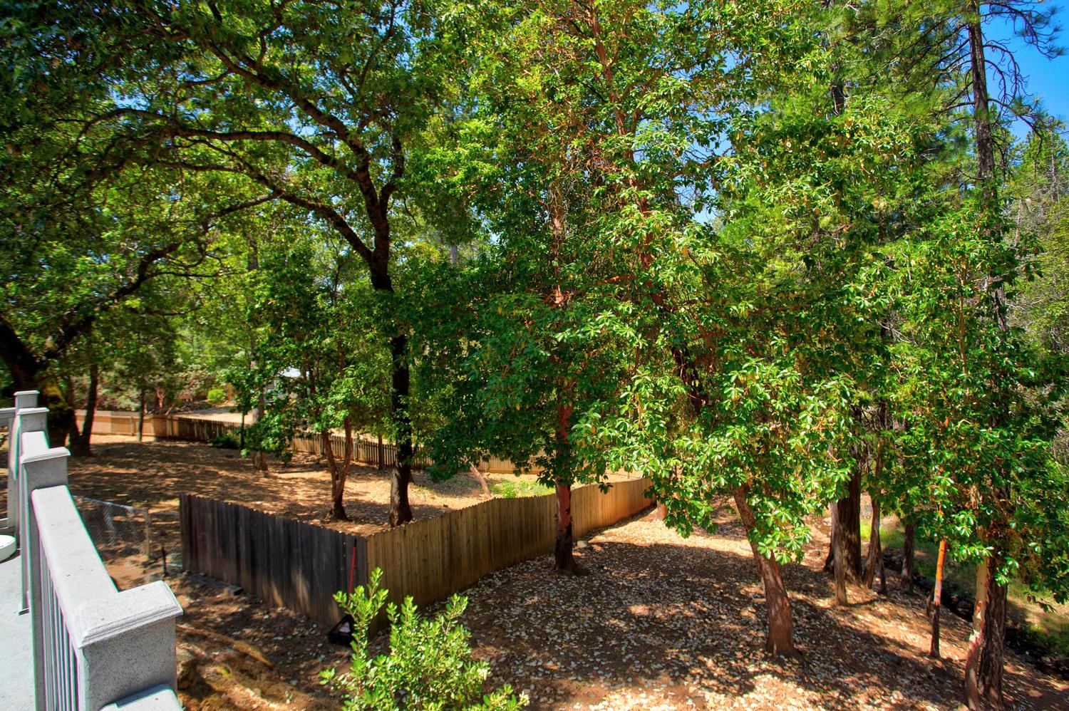 14334 Oregon Peak Road Dobbins, CA 95935 - Photo 9 of 85