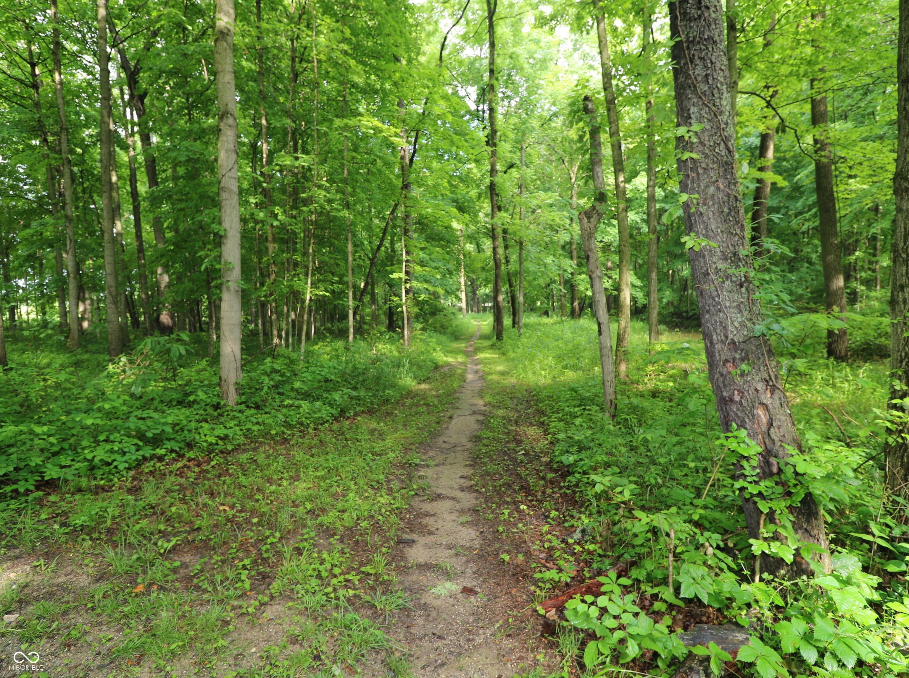 355 East Johnson Bridge Road Williamsport, IN 47993 - Photo 44 of 71