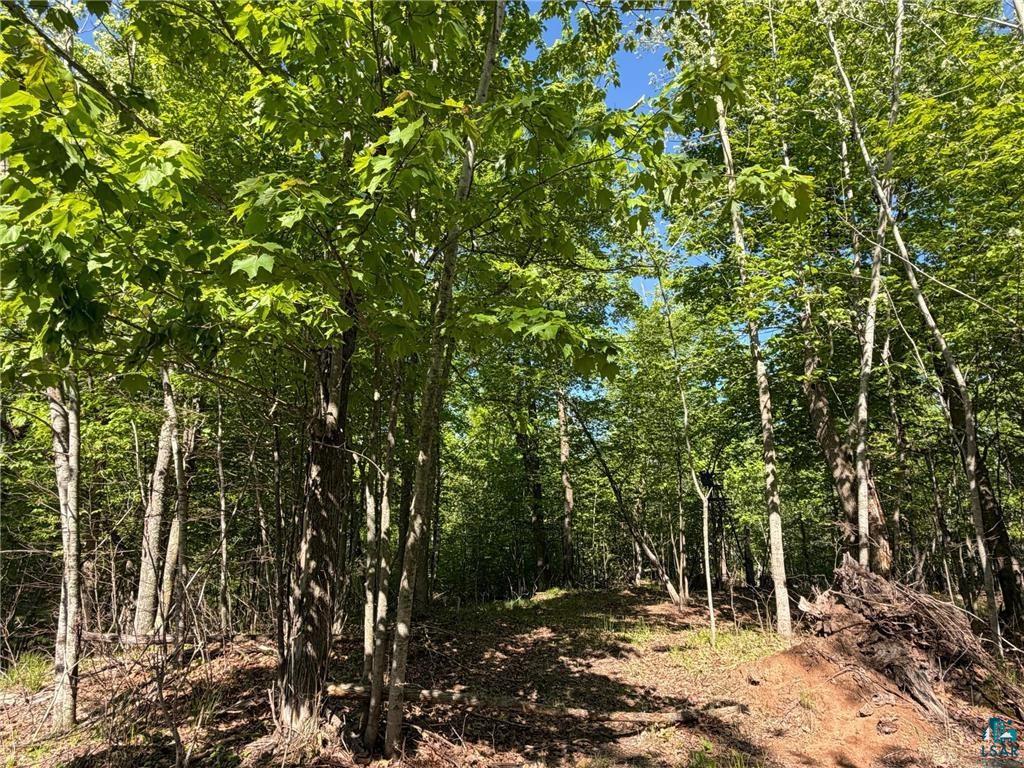 54003 Dollar Lake Road Sandstone, MN 55072 - Photo 13 of 40