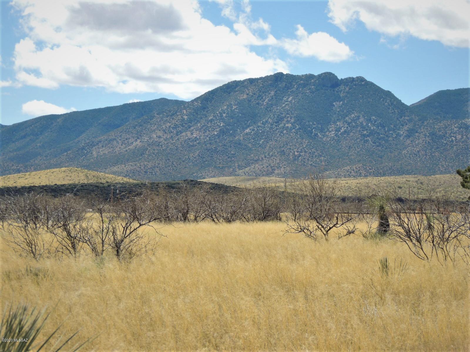 Tbd West Pearce Road, Unit 2 Pearce, AZ 85625 - Photo 13 of 19