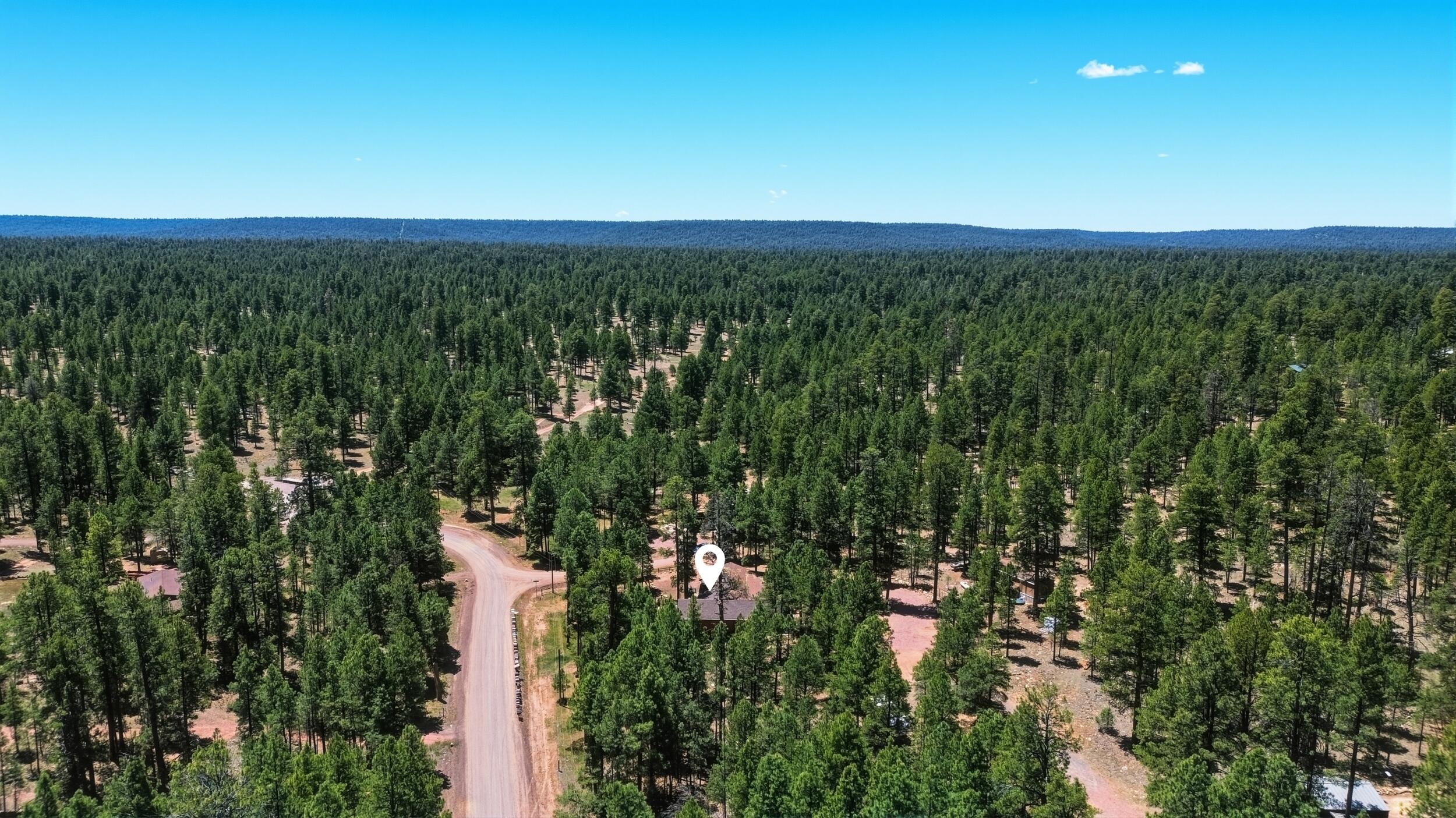 856 Coconino Loop Happy Jack, AZ 86024 - Photo 51 of 51