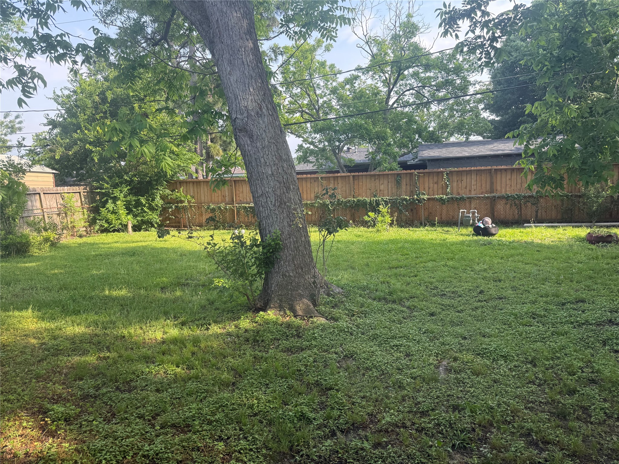 1220 Fresa Road Pasadena, TX 77502 - Photo 22 of 22