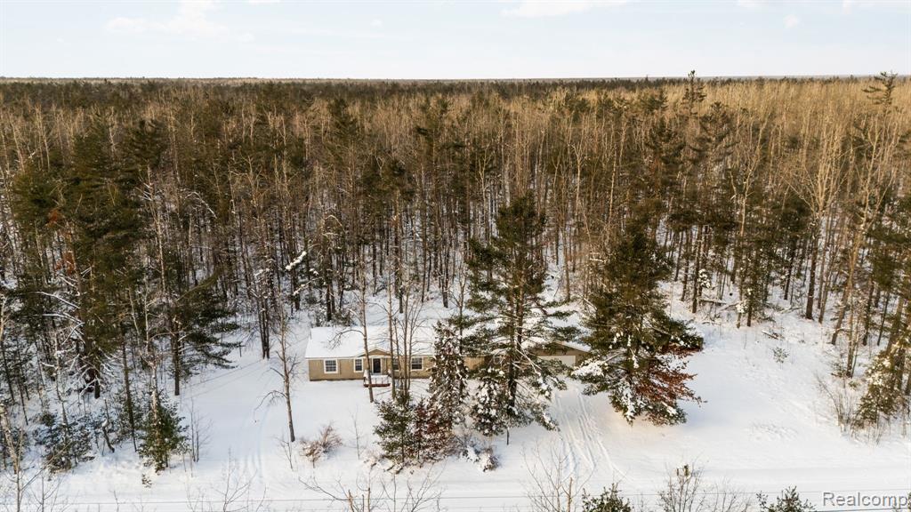 2836 Lone Pine Road Gaylord, MI 49735 - Photo 39 of 43