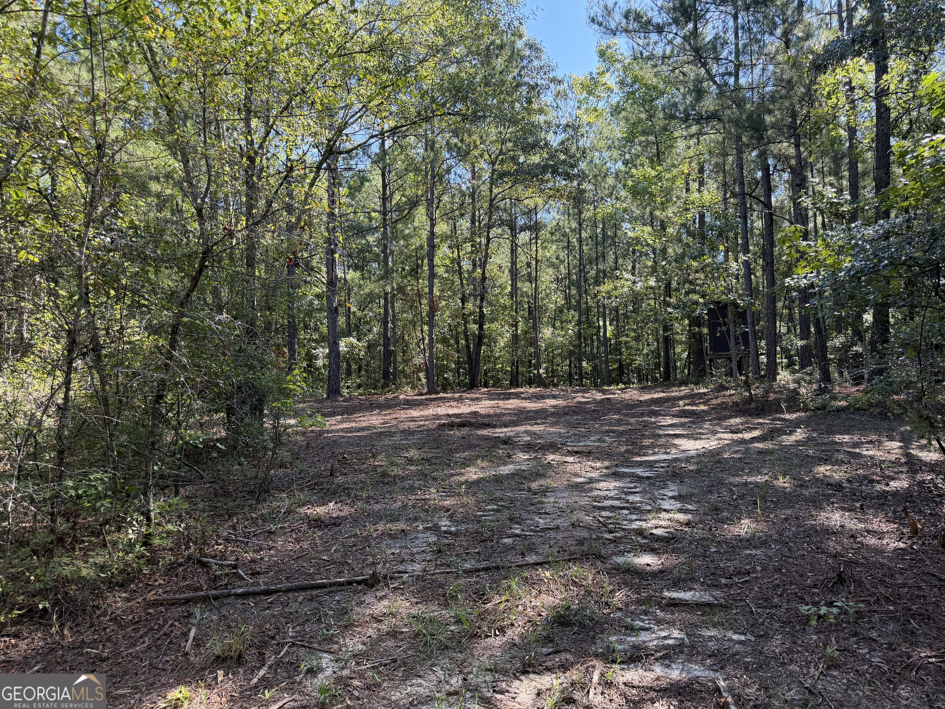 0 Pig Road Bartow, GA 30413 - Photo 32 of 44 Gallery Image 32