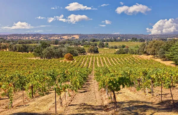 $895,000 | 0 Shenandoah School Road, Plymouth, CA 95669