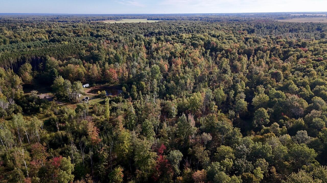 190 North Crawford Road Twining, MI 48766 - Photo 47 of 60 039
