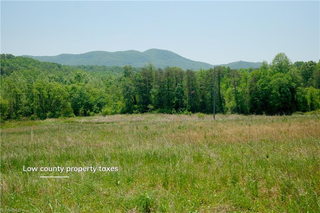 1 Morrison Road Morganton, NC 28655 - Photo 2 of 9