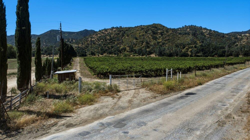 24.5-acres Cienega Road Paicines, CA 95043 - Photo 36 of 38