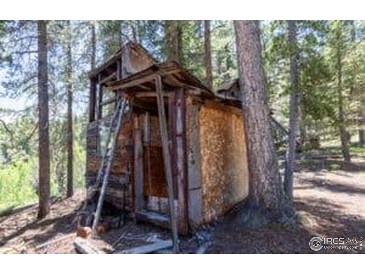 1001 Pactolus Lake Road Black Hawk, CO 80422 - Photo 15 of 21