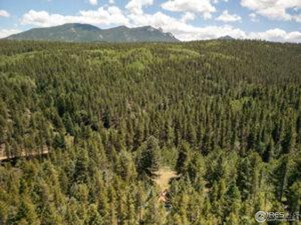 1001 Pactolus Lake Road Black Hawk, CO 80422 - Photo 17 of 21