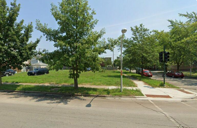 a park with lots of trees and plants