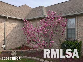 2507 Rae Allen Lane Marion, IL 62959 - Photo 5 of 27 Gallery Image 5