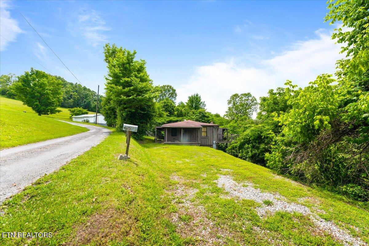 104 Jackson Road Andersonville, TN 37705 - Photo 11 of 37 Private Country Atmosphere