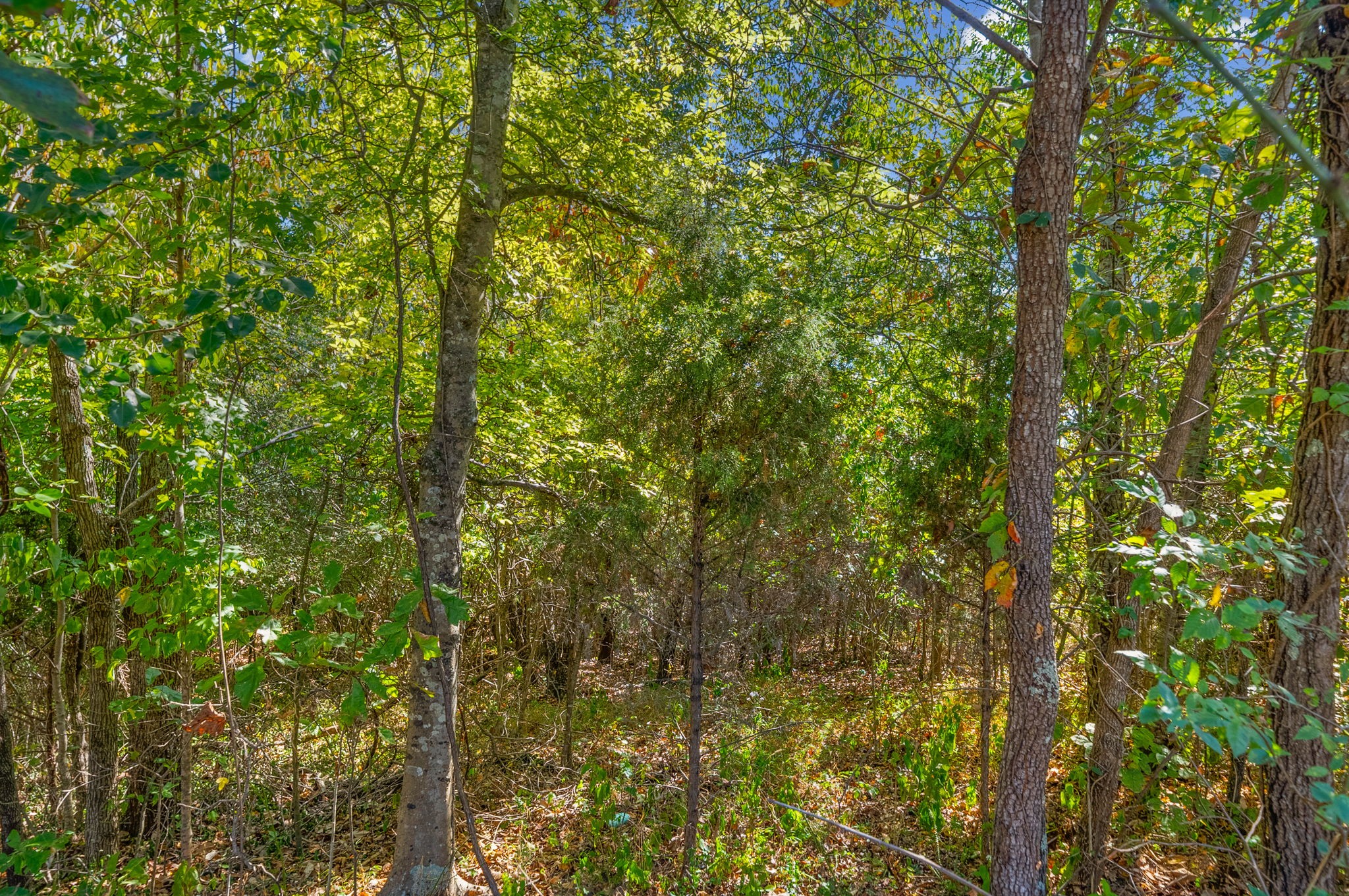 1 Gip Manning Road Clarksville, TN 37042 - Photo 9 of 29 Gallery Image 9
