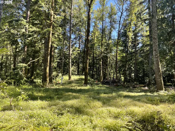 $225,000 | 23282 East Sandy Avenue, Rhododendron, OR 97049