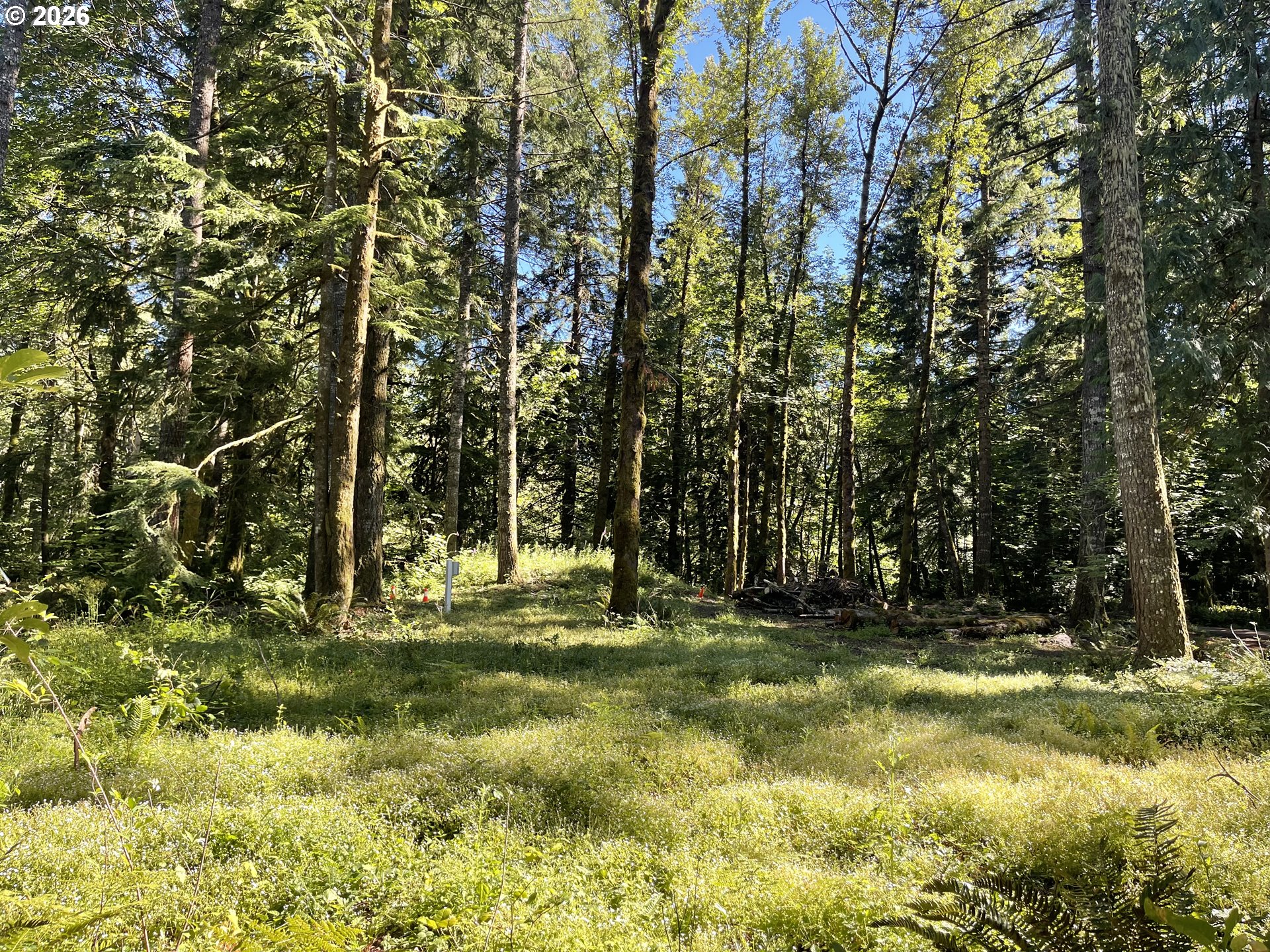 23282 East Sandy Avenue Rhododendron, OR 97049 - Photo 1 of 14