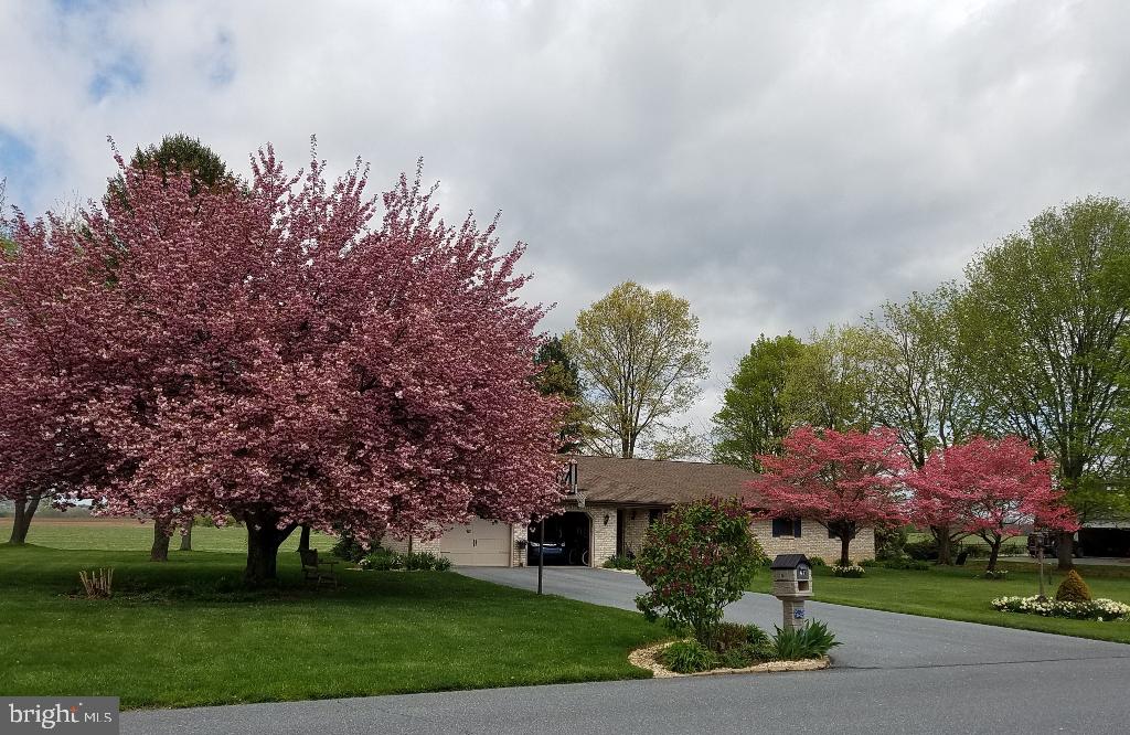 67 Walden Road Lebanon, PA 17042 - Photo 35 of 36 Flowering Trees