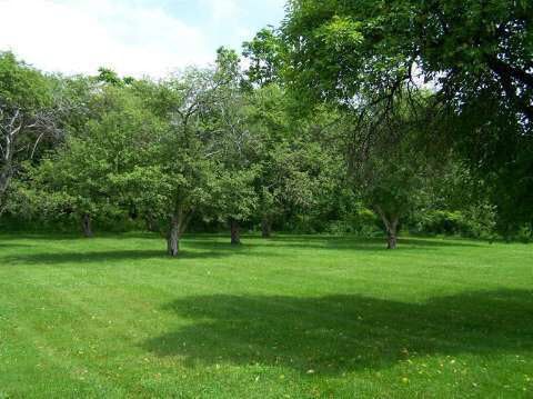 11318 Hartland Road Fenton, MI 48430 - Photo 24 of 30 20412951-23.JPG