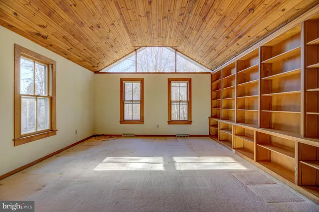 a view of a grassy field with trees in the background