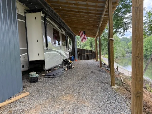 a view of a forest with trees in the background
