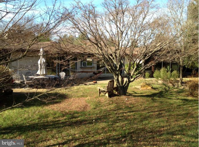 13720 Hess Mill Road Phoenix, MD 21131 - Photo 3 of 6 a view of yard with trees