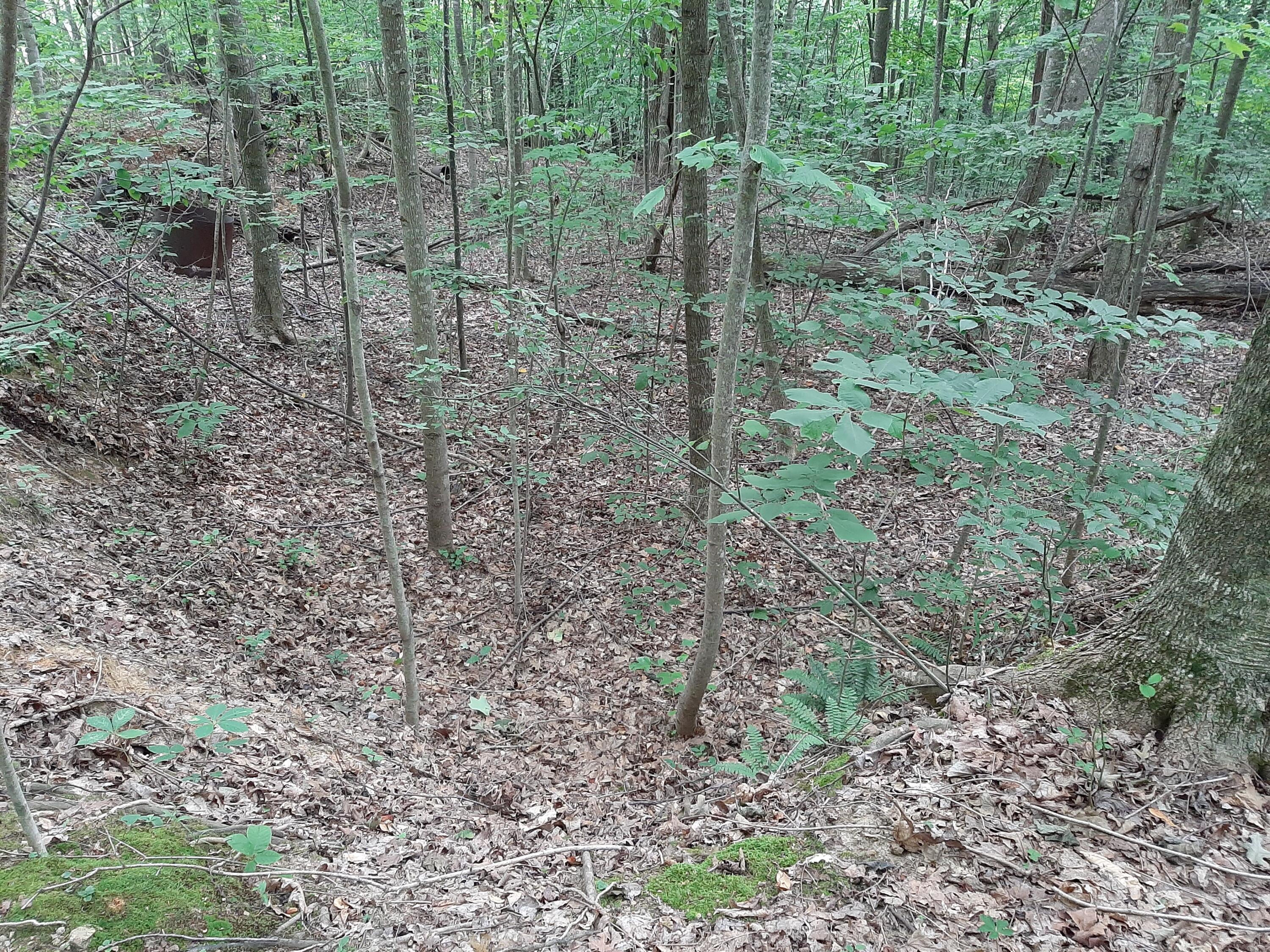 0 Pond Ridge Trail Nancy, KY 42544 - Photo 7 of 8 20210707_105454