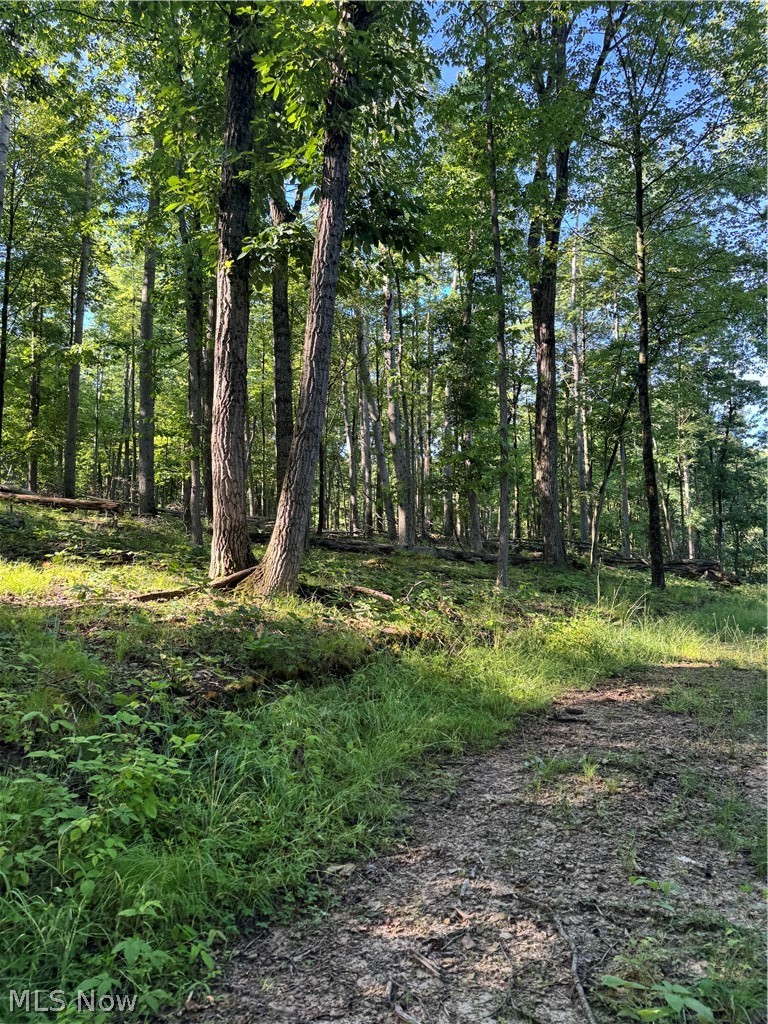 Stone Quarry Road Danville, OH 43014 - Photo 15 of 50