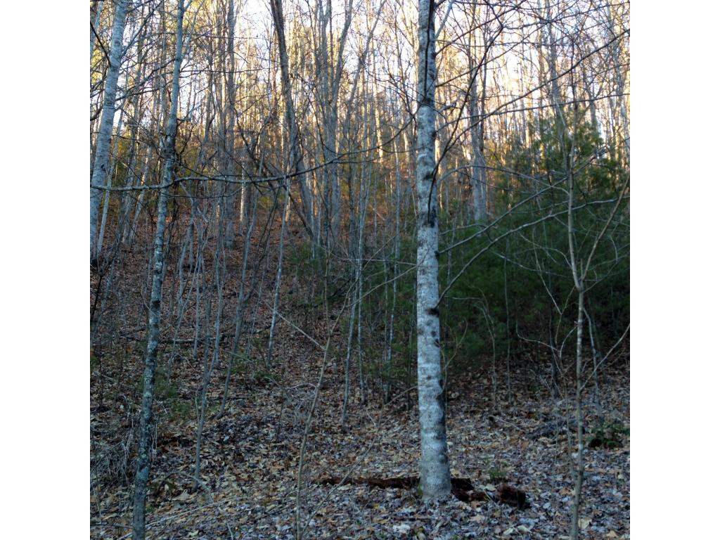 400 Big Branch Road Flag Pond, TN 37657 - Photo 3 of 10 Photo 3