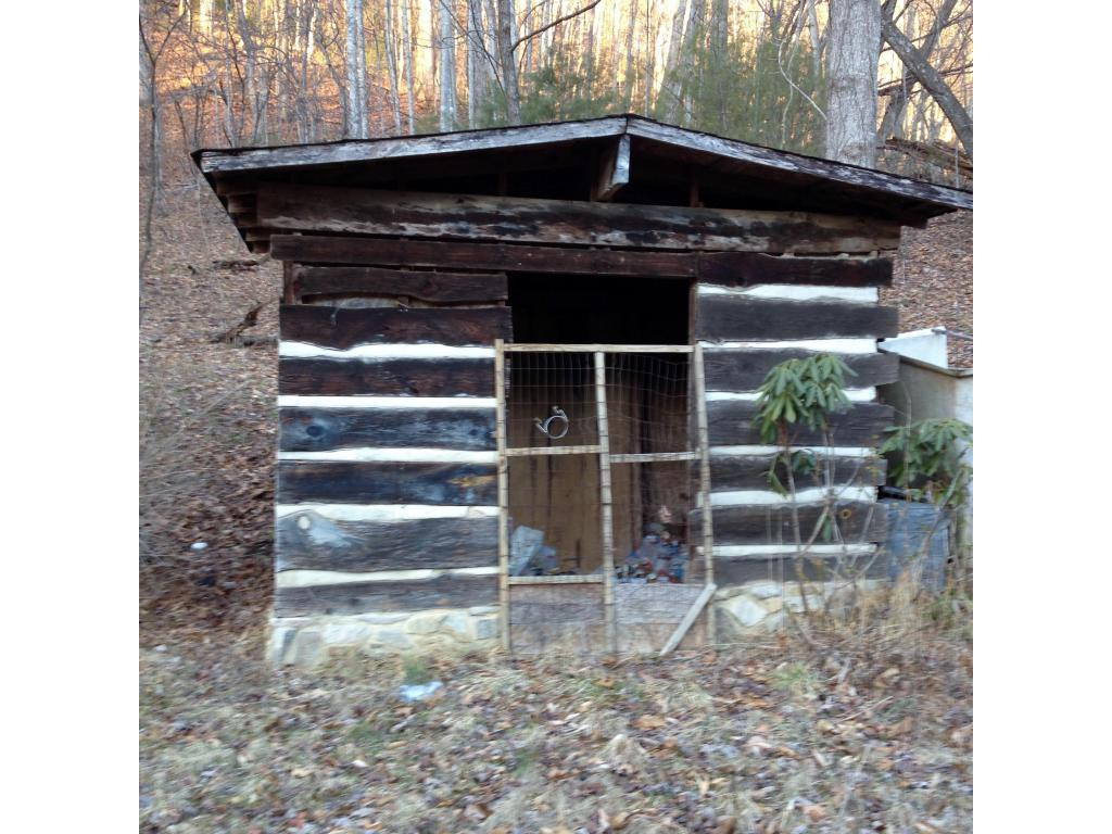 400 Big Branch Road Flag Pond, TN 37657 - Photo 5 of 10 Photo 5