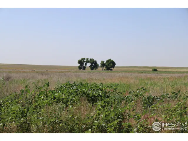 $900,000 | 26776 County Road 36, La Salle, CO 80645