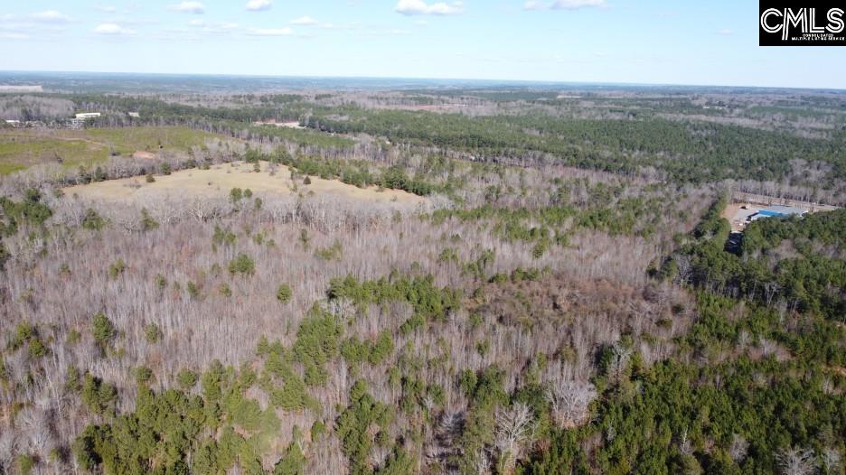 637 Cook Road Ridgeway, SC 29130 - Photo 37 of 51