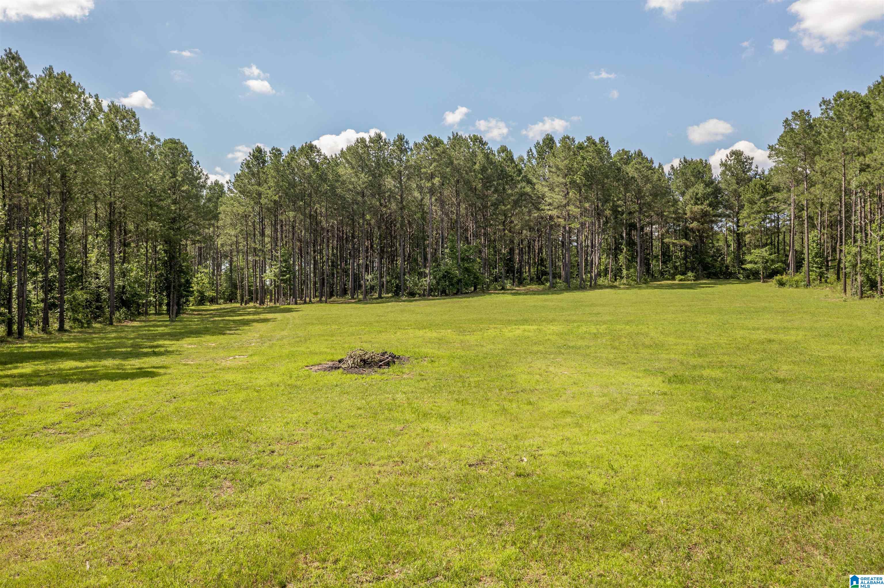 89 Golden Pond Road, Unit 9 Ashville, AL 35953 - Photo 17 of 35