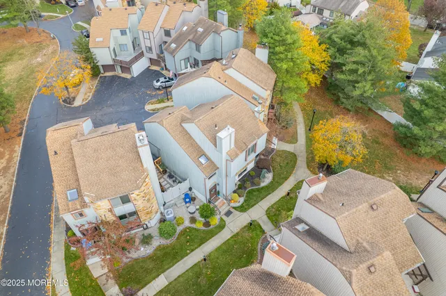 a view of a flower in a garden