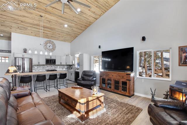 265 Arrowhead Road Florissant, CO 80816 - Photo 11 of 50