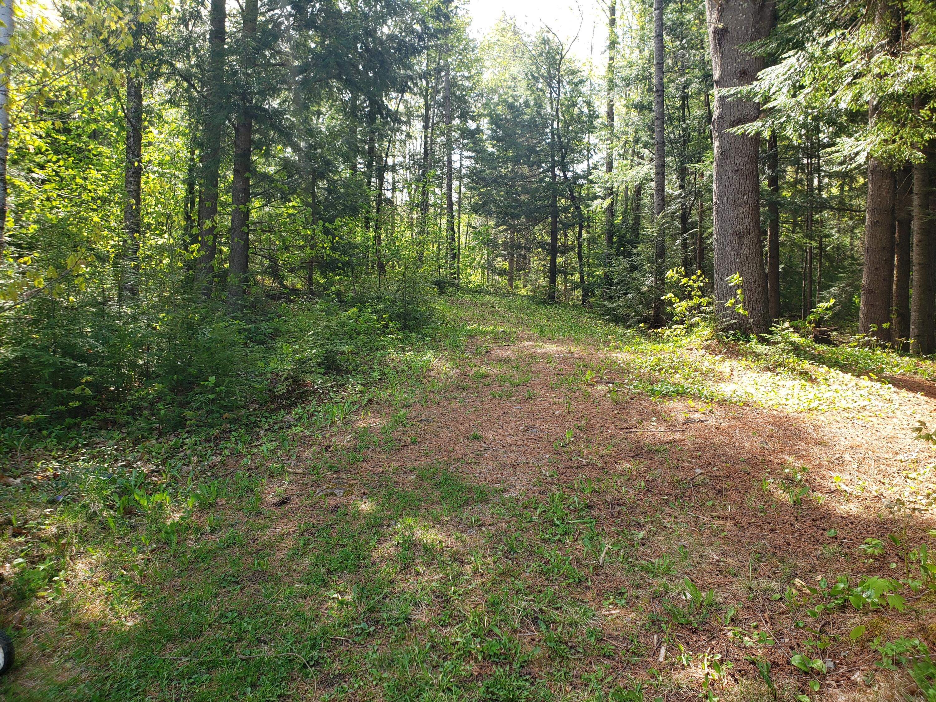403 Pope Road Chesterville, ME 04938 - Photo 12 of 37 20220518_092323