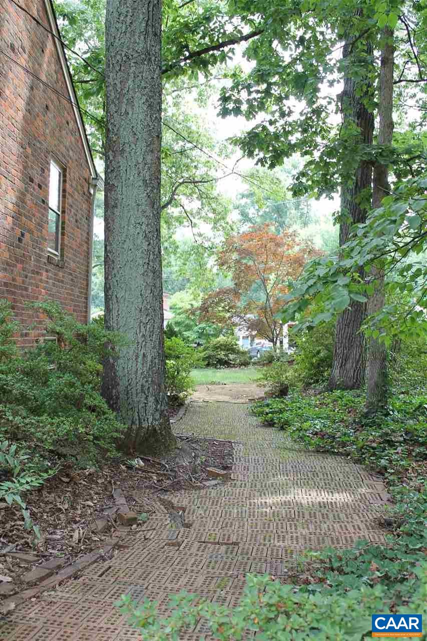2414 Angus Road Charlottesville, VA 22901 - Photo 9 of 45 a view of a yard with plants and a large tree