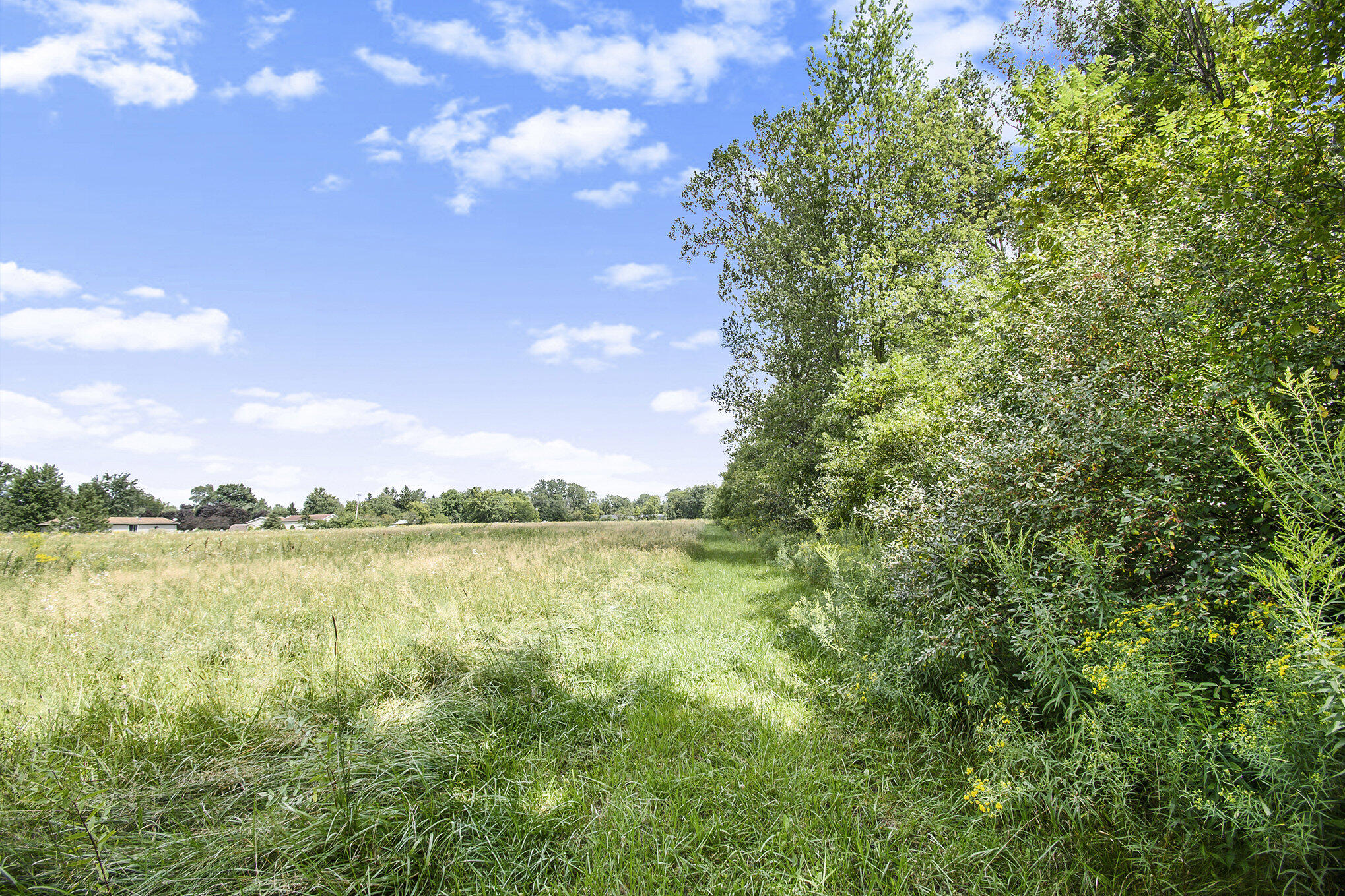 10573 Moon Road Milan, MI 48160 - Photo 5 of 12 006_ndp6623