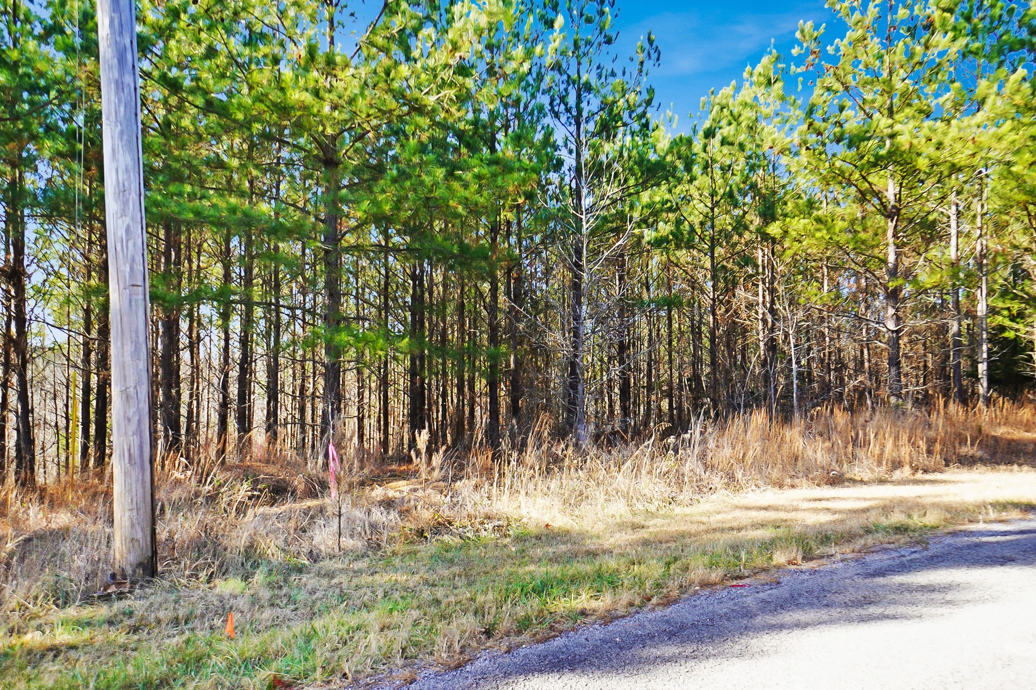 10 Ribbon Branch Road Dover, TN 37058 - Photo 3 of 12 Gallery Image 3