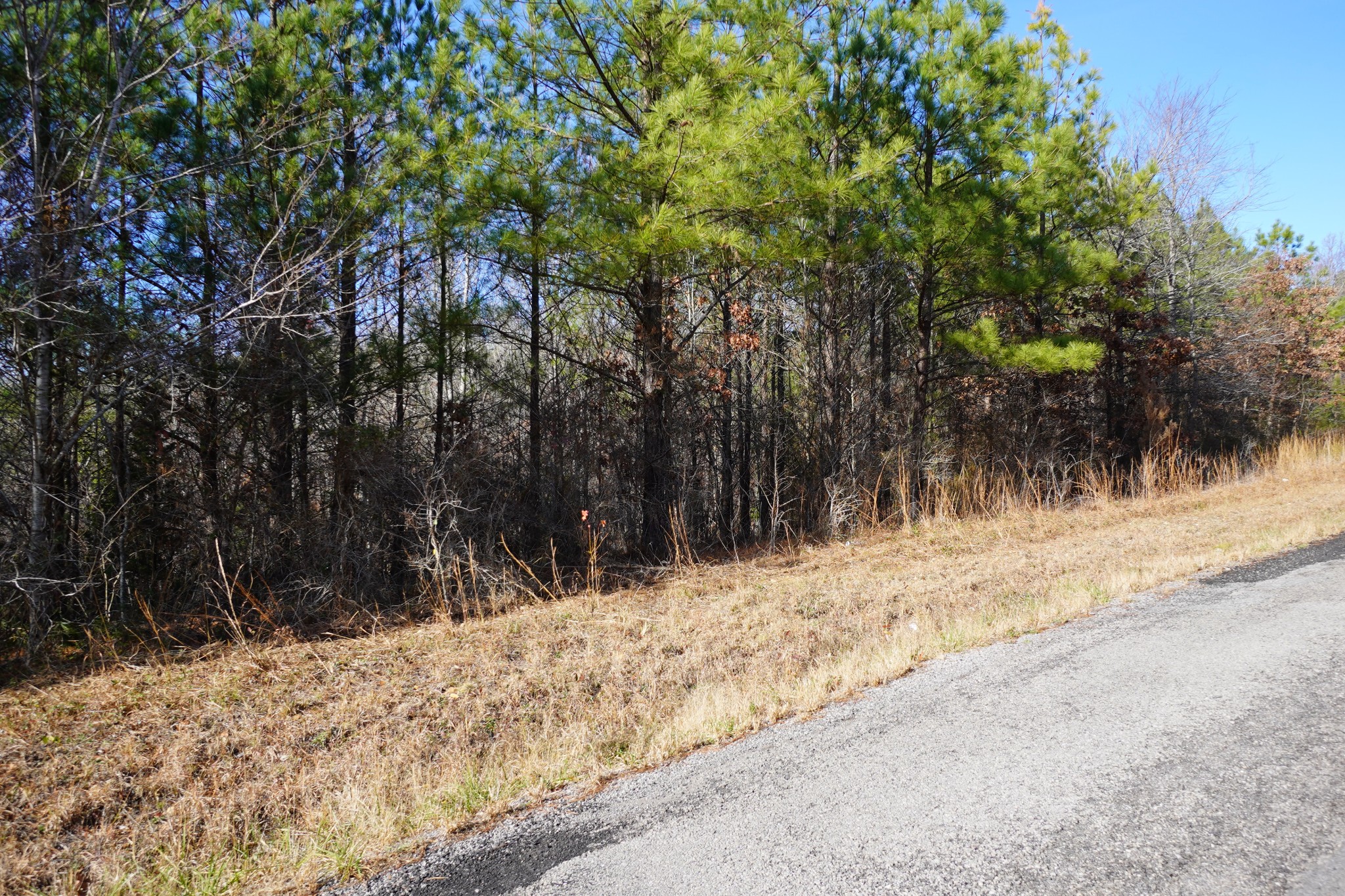 10 Ribbon Branch Road Dover, TN 37058 - Photo 9 of 12 Gallery Image 9