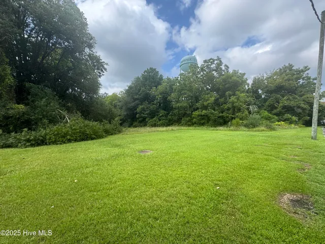 $90,000 | 115 Stokes Street, Kenansville, NC 28349