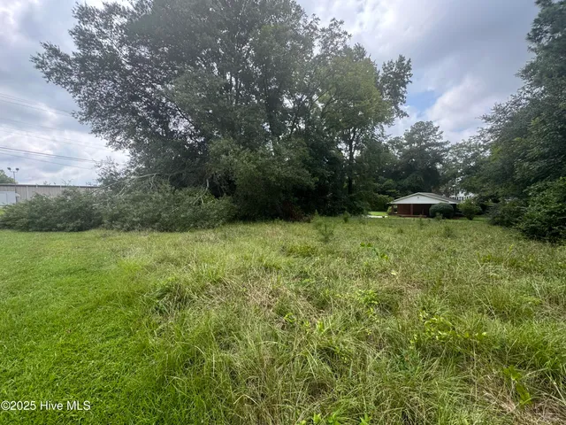 $90,000 | 115 Stokes Street, Kenansville, NC 28349