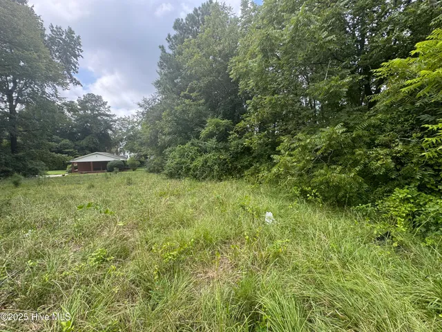 $90,000 | 115 Stokes Street, Kenansville, NC 28349