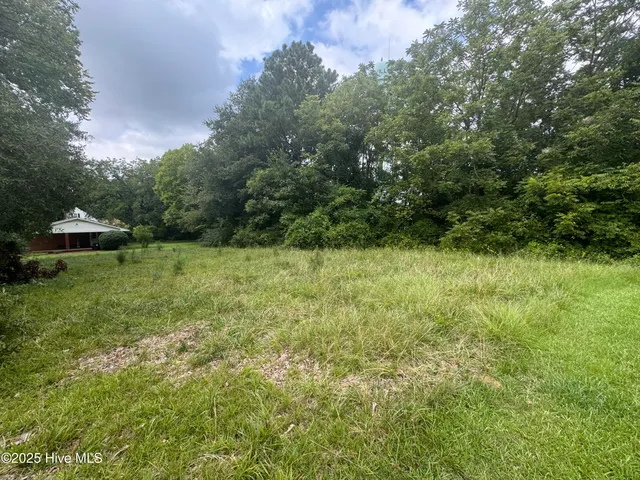 $90,000 | 115 Stokes Street, Kenansville, NC 28349