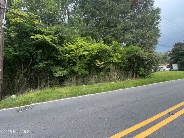 $90,000 | 115 Stokes Street, Kenansville, NC 28349