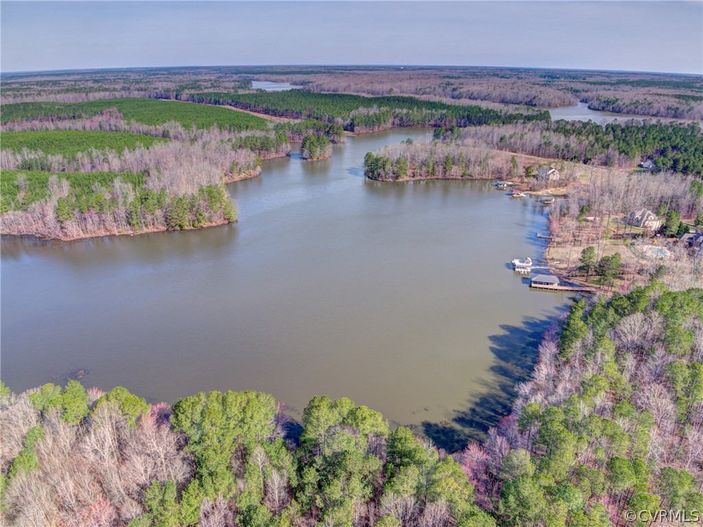Lot 85 Miry Run Road Sutherland, VA 23885 - Photo 8 of 27 Gallery Image 8