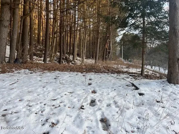 a view of a backyard with large trees